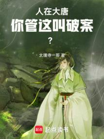 你管这叫破案?txt