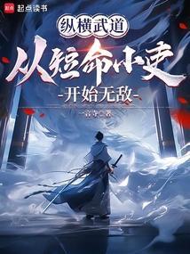 纵横武侠