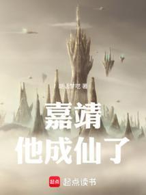嘉靖如何