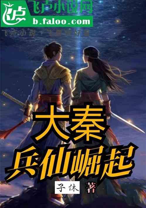大秦兵作品
