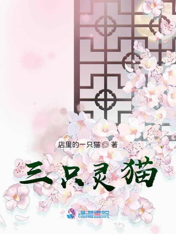 三只猫咪的动画片