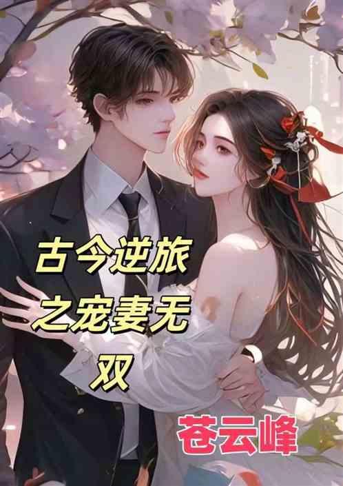古今逆旅之宠妻无双百度