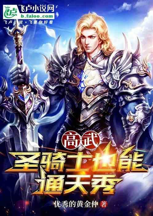圣骑士高手之路