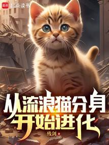 流浪猫变成宠物猫