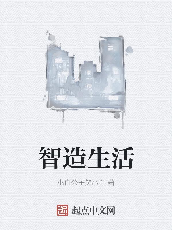 智造生活炒锅