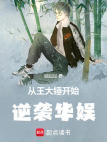 王大锤的逆袭