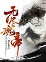 无尽灵魂修改魂力