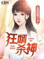神婿狂枭
