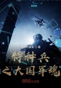 特种兵之国家