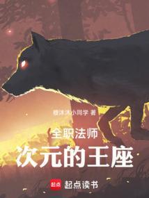 次元之序