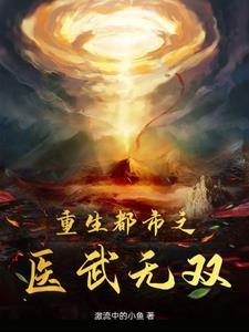 都市之医武高手全文阅读