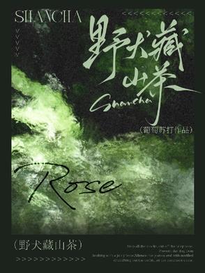野山茶有什么功效