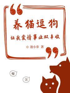 玩狗逗猫
