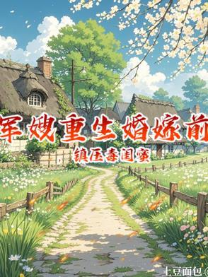 重生军嫂前妻