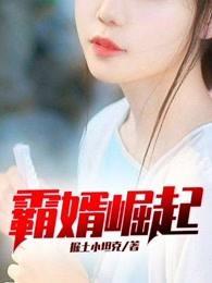 霸婿崛起17k
