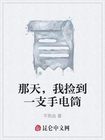 我捡到一支手电筒作文