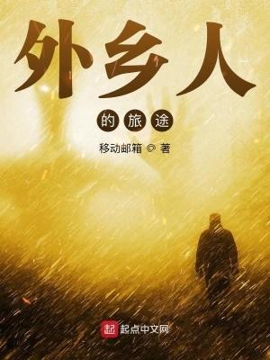 外乡人的旅途主角的能力