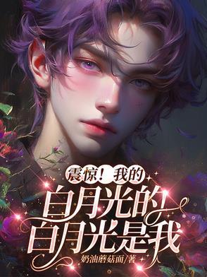 我的白月光全文