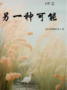 hp之另一种选择