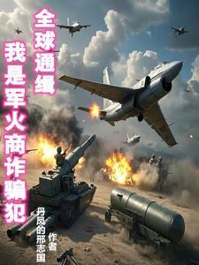 重生之我是军火贩子