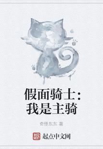 假面骑士：我是主骑