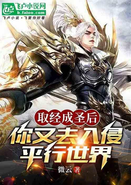 取经成圣后，你又去入侵平行世界