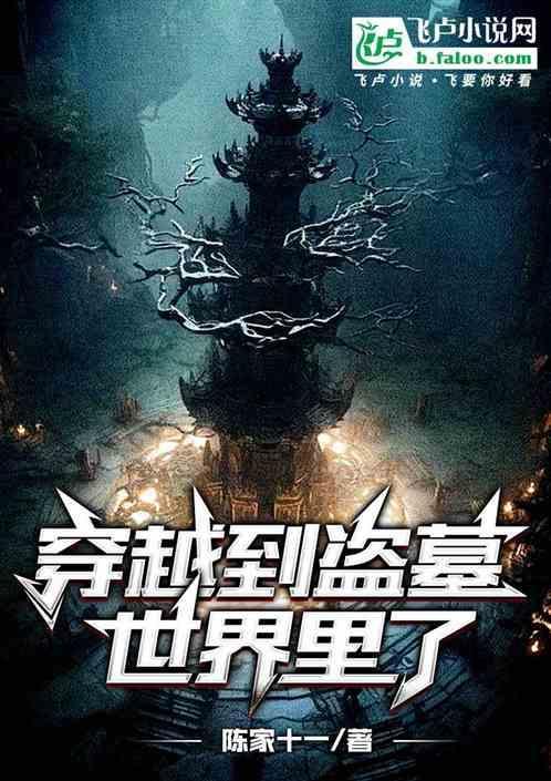 穿越到盗墓世界里了