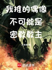 我推的偶像不可能是密教教主