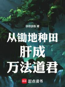 从锄地种田肝成万法道君