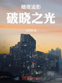 暗夜追影：破晓之光