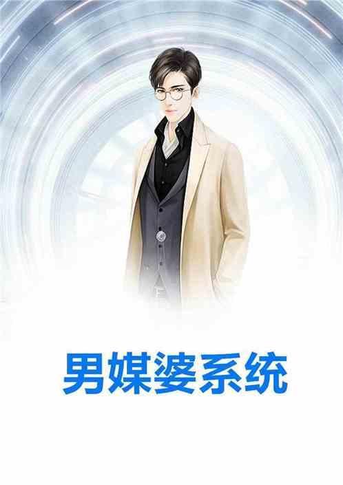 男媒婆系统