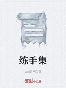 练手集