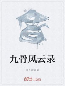 九骨风云录