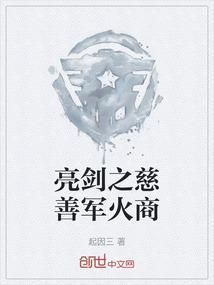 亮剑之慈善军火商