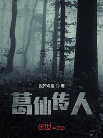 葛仙传人