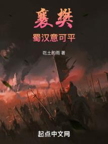 人在襄樊，挽蜀汉之狂澜