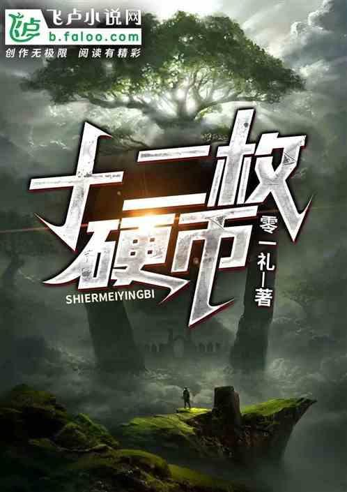 十二枚硬币