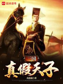 三国真假天子