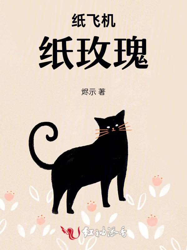 纸飞机纸玫瑰