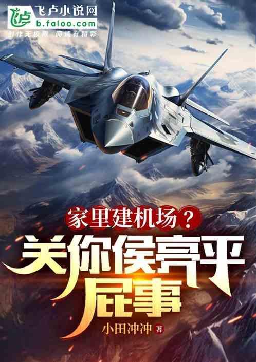家里建机场？关你侯亮平屁事