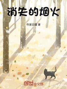 消失的烟火