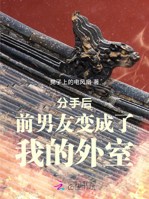 分手后前男友成了我的外室
