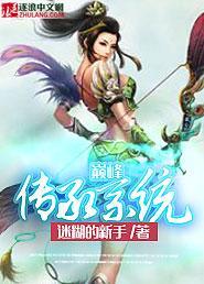 巅峰传承系统