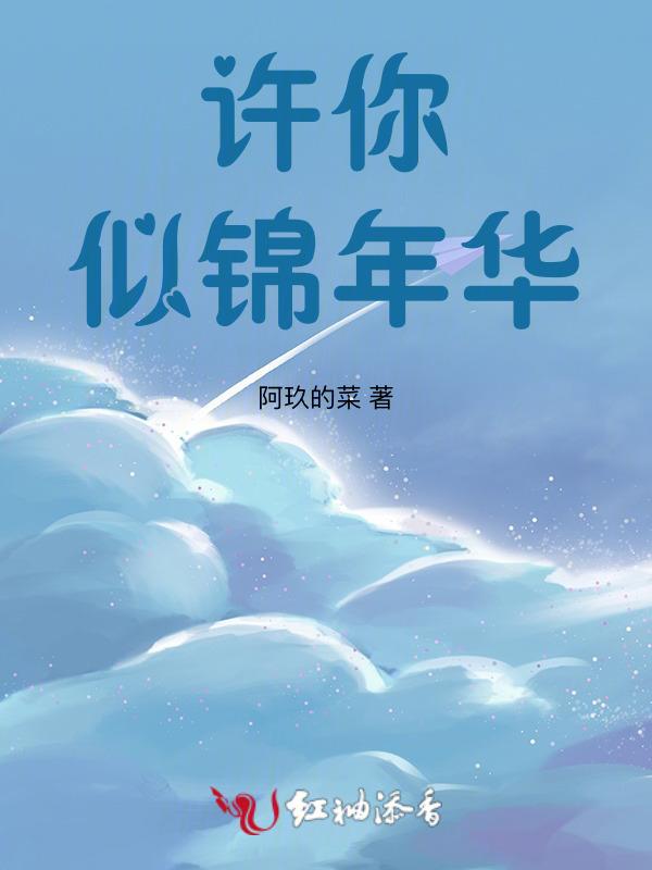 许你似锦年华