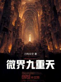微界九重天