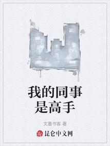 我的同事是高手