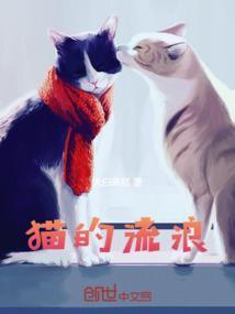 猫的流浪