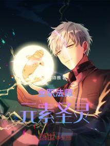 全职法师：元素圣灵