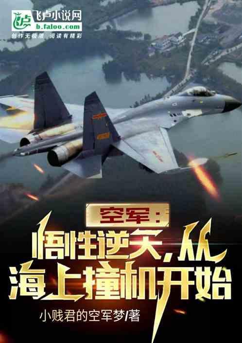空军：悟性逆天，从海上撞机开始