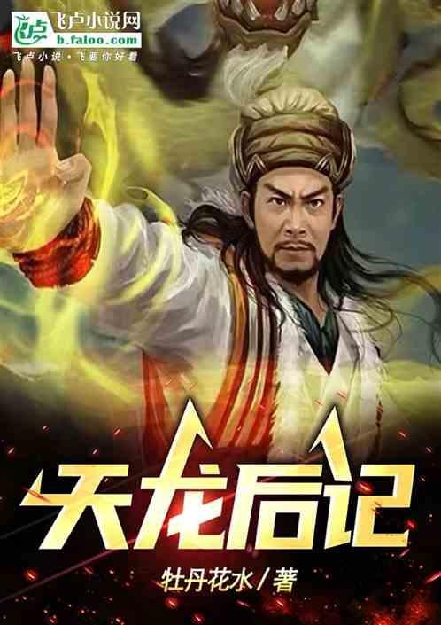 天龙后记